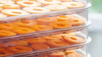 دستگاه میوه خشک کن خانگی